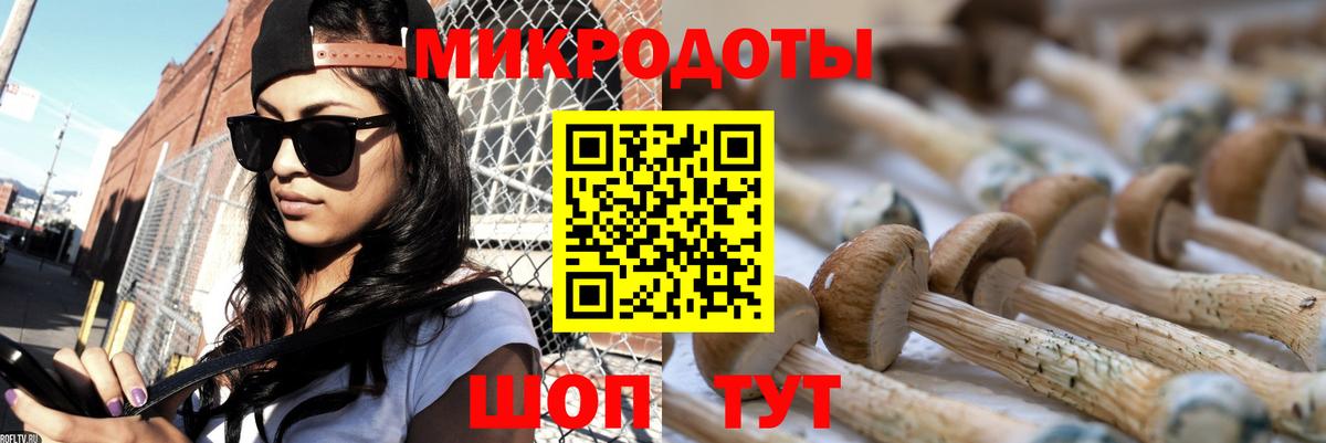 Галлюциногенные грибы Magic Shrooms  Вход с VPN  Галлюциногенные грибы мухоморы  Камень-на-Оби 